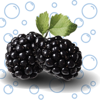 Sparkling Blackberry