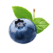 Fruit 1
