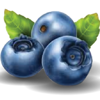 Blueberry
