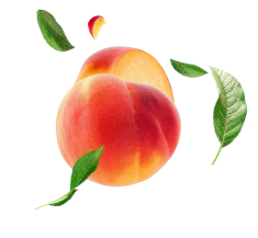 Fruit 1