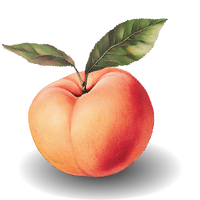 Peach