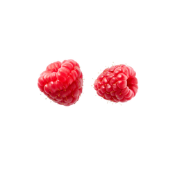 Fruit 1