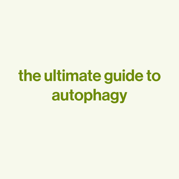 Ultimate guide to autophagy
