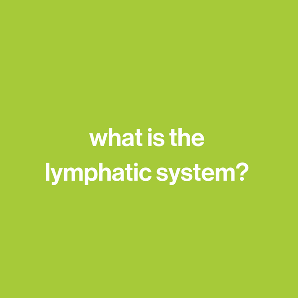 fantastic, ecstatic, lymphatic (system)