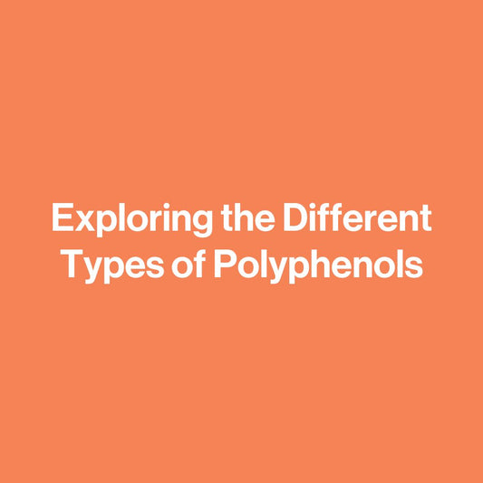 Exploring the Different Types of Polyphenols