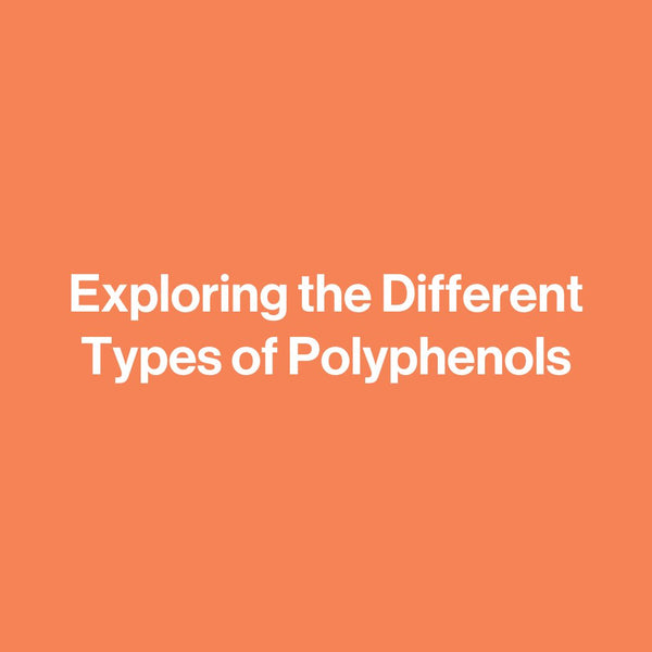 Exploring the Different Types of Polyphenols