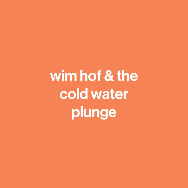 wim hof & the cold water plunge