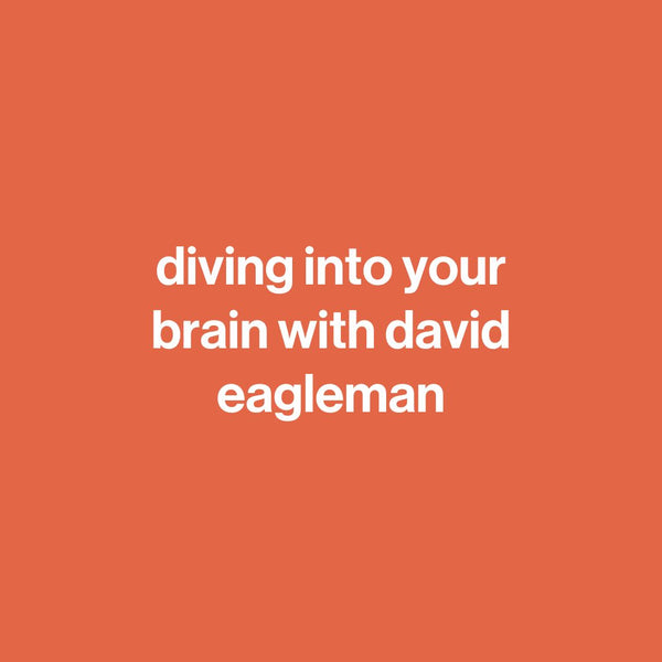 diving into your brain with david eagleman