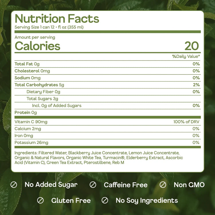 Blackberry White Tea | 4 pack