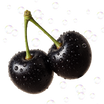 Black Cherry