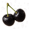 Black Cherry
