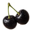 Black Cherry