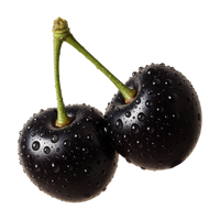 Black Cherry