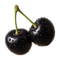 Black Cherry