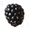 Blackberry