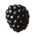 Blackberry