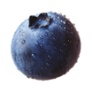 Blueberry