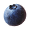 Blueberry