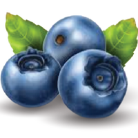 Blueberry