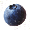 Blueberry