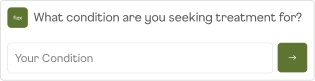 Treatment condition input form