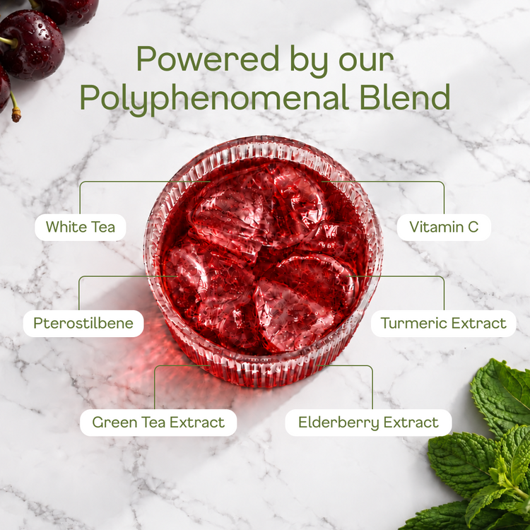 Black Cherry White Tea - polyphenomenal blend
