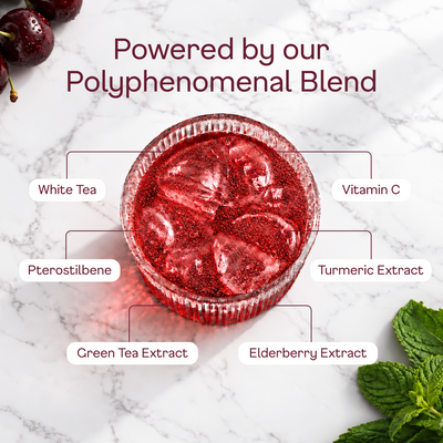 Black Cherry Sparkling White Tea - polyphenomenal blend