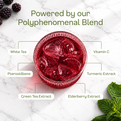 Blackberry White Tea - polyphenomenal blend