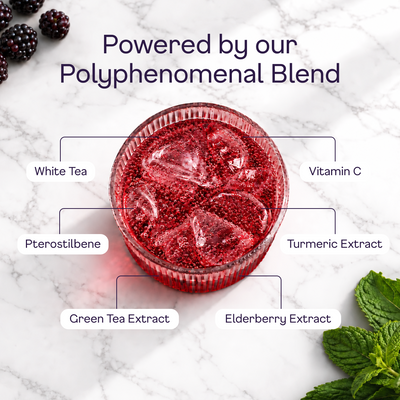 Blackberry Sparkling White Tea - polyphenomenal blend