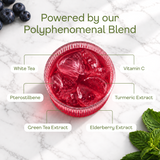 Blueberry White Tea - polyphenomenal blend