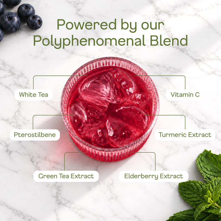 Blueberry White Tea - polyphenomenal blend