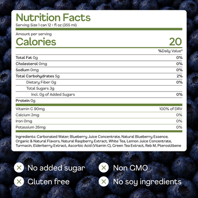 Blueberry Sparkling White Tea - ingredients