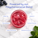 Blueberry Sparkling White Tea - polyphenomenal blend