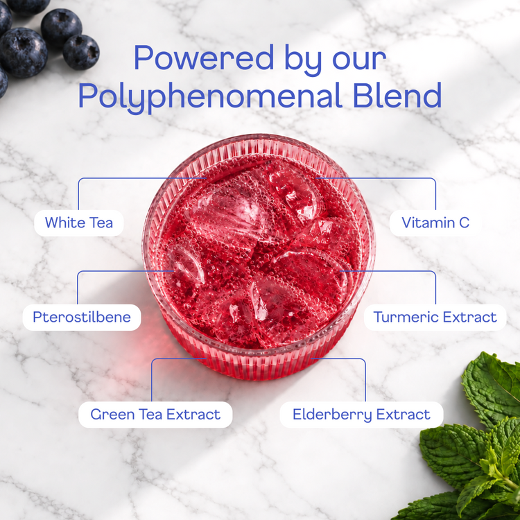Blueberry Sparkling White Tea - polyphenomenal blend