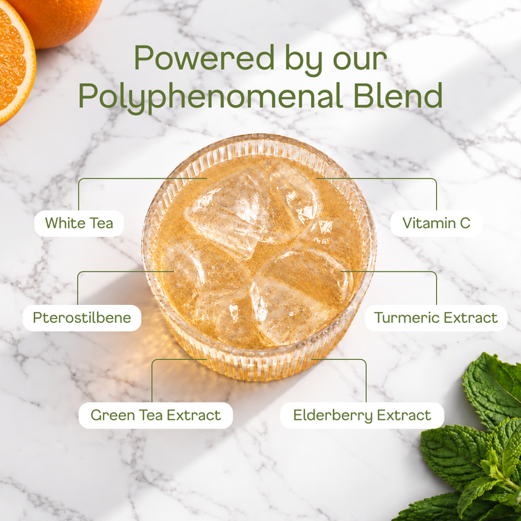 Orange White Tea - polyphenomenal blend
