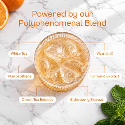 Orange Sparkling White Tea - polyphenomenal blend
