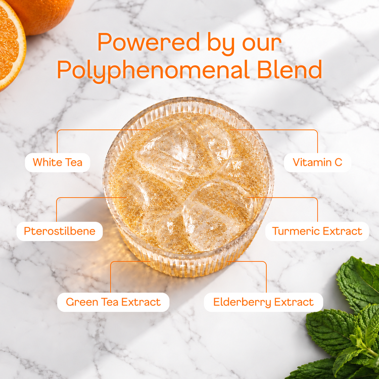 Orange Sparkling White Tea - polyphenomenal blend