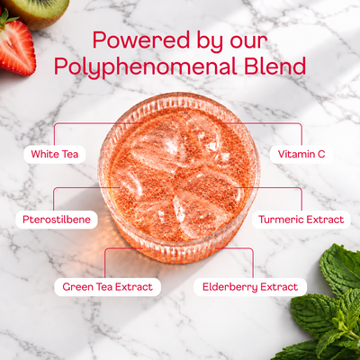 Strawberry Kiwi Sparkling White Tea - polyphenomenal blend