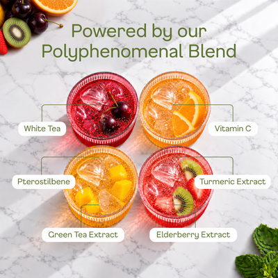 Orchard Sparkling Variety Pack - polyphenomenal blend