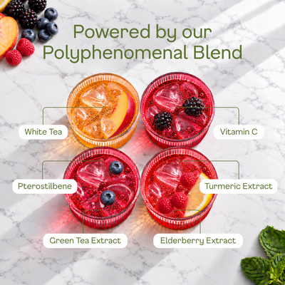 White Tea Sparkling Original Variety - polyphenomenal blend