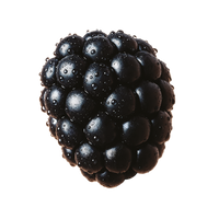 Blackberry