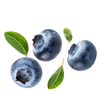 Fruit 1